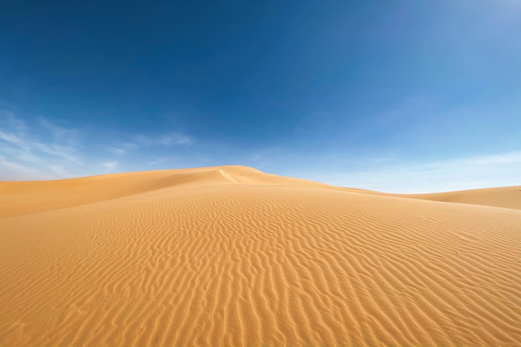 Challenges of Multiple SOR Databases