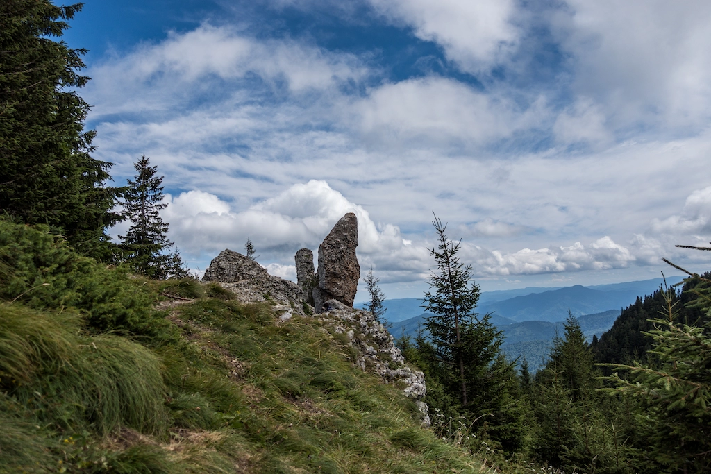 Boost Your Business: Benefits of Credit Card Processing