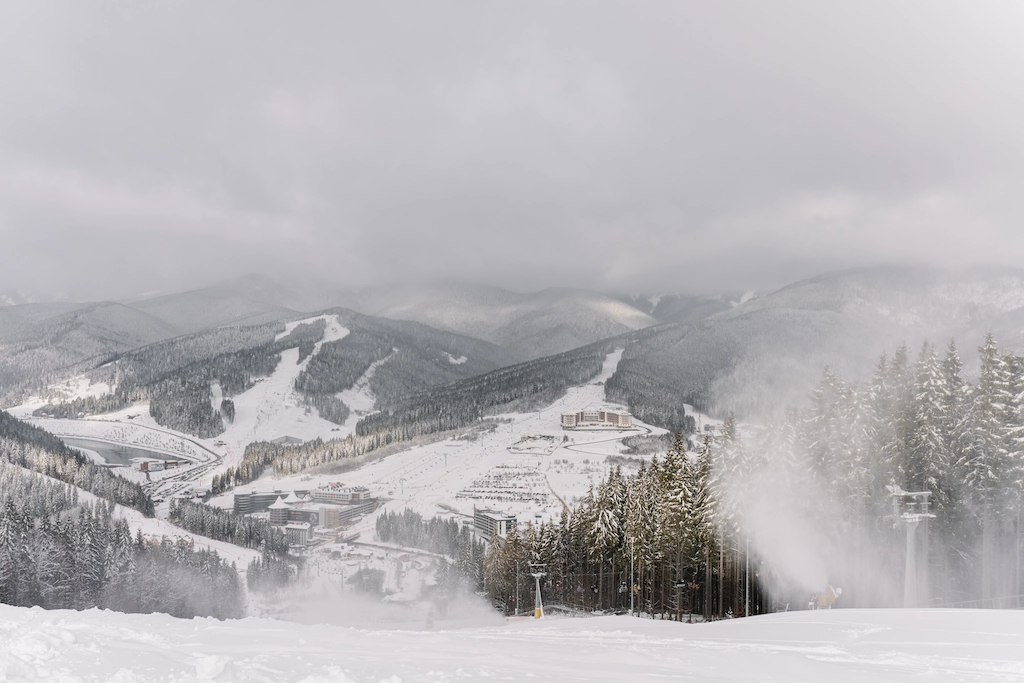 Digital Efficiency: A Key to Business Growth and Profit