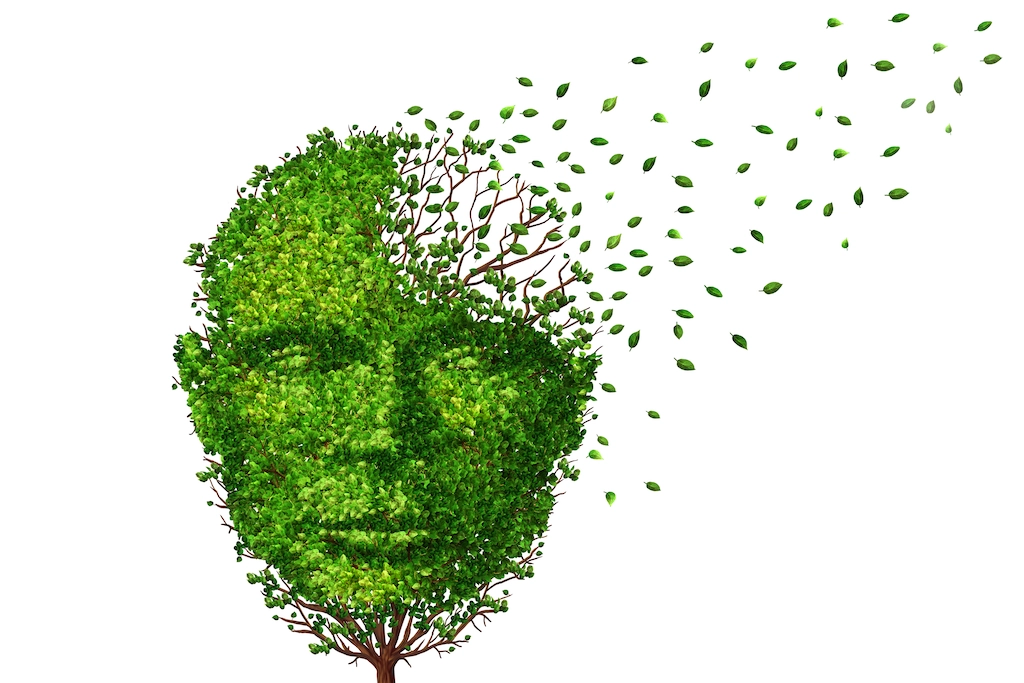 Building an MVP: From Idea to Success