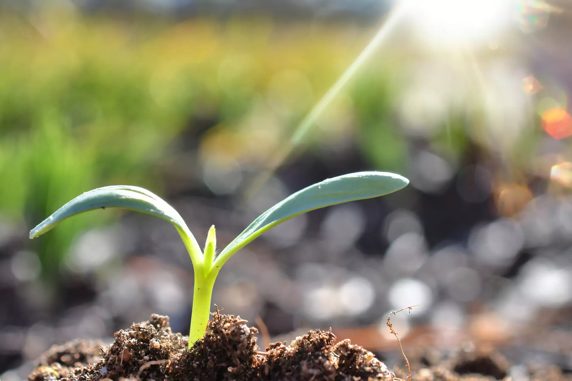 product page optimization (depiction)