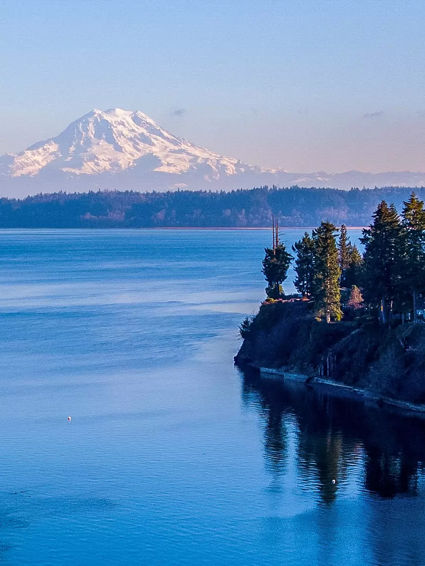 Affordable web development services examples