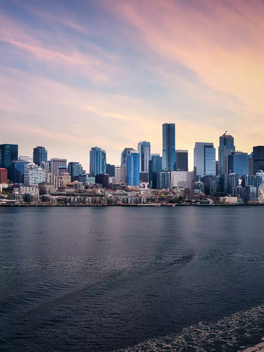 Calming representation of bespoke software development