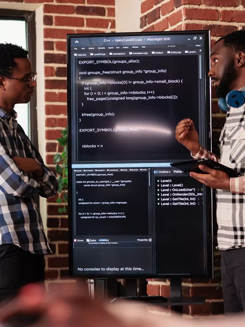 Bespoke Software Development ROI