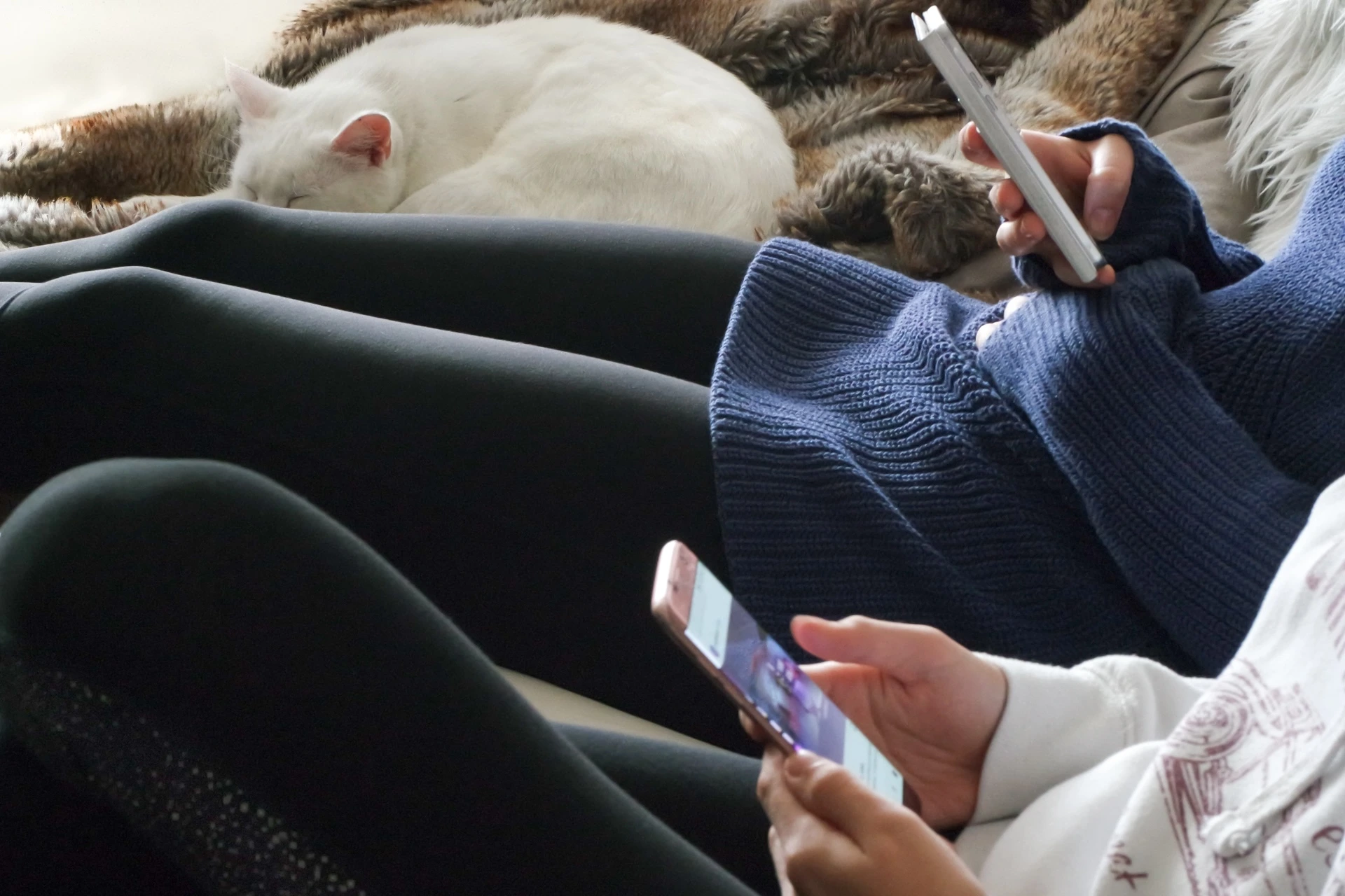 Mobile-first website development