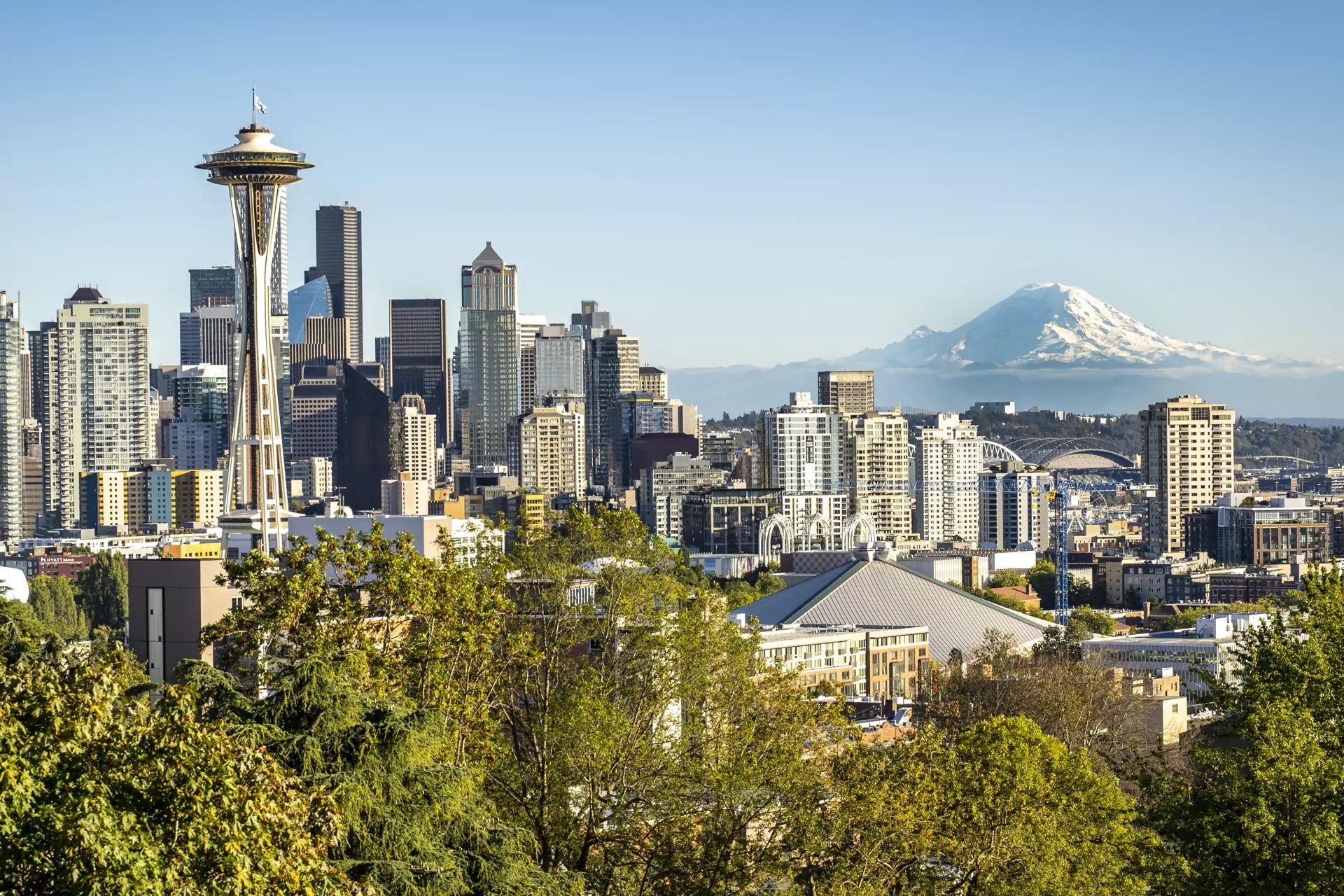 Affordable web development services showcased in an engaging infographic, highlighting key offerings and benefits for small businesses.